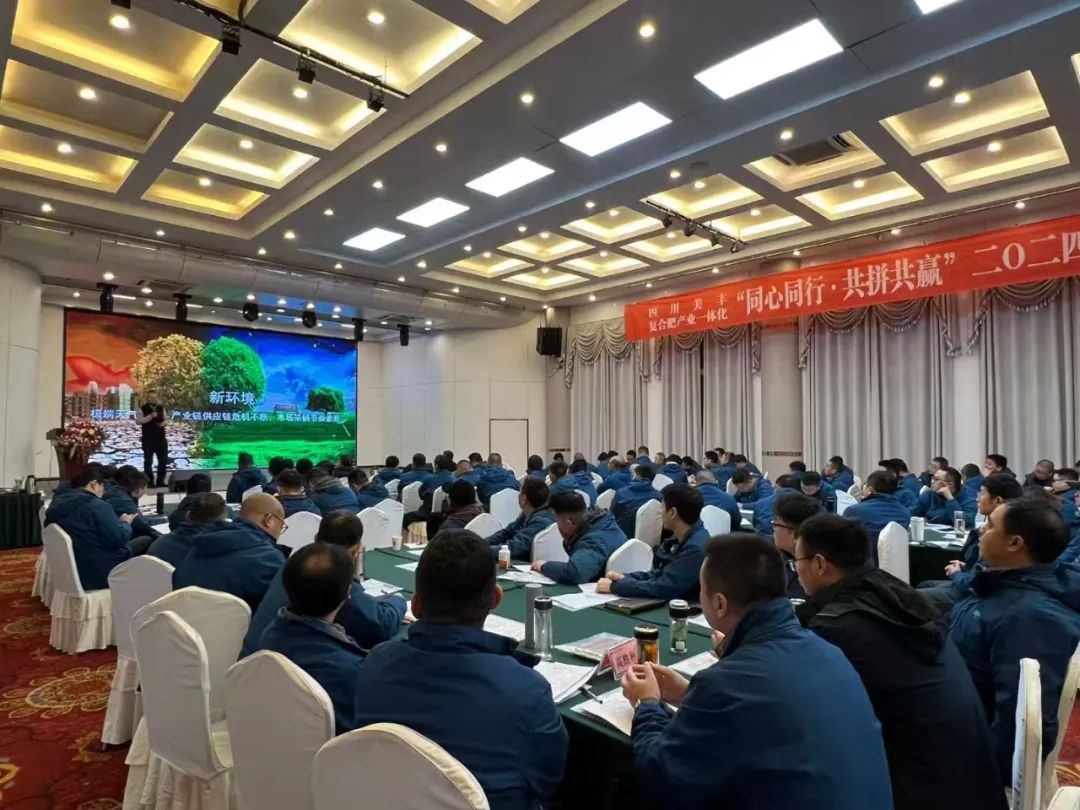 四川美丰股份公司