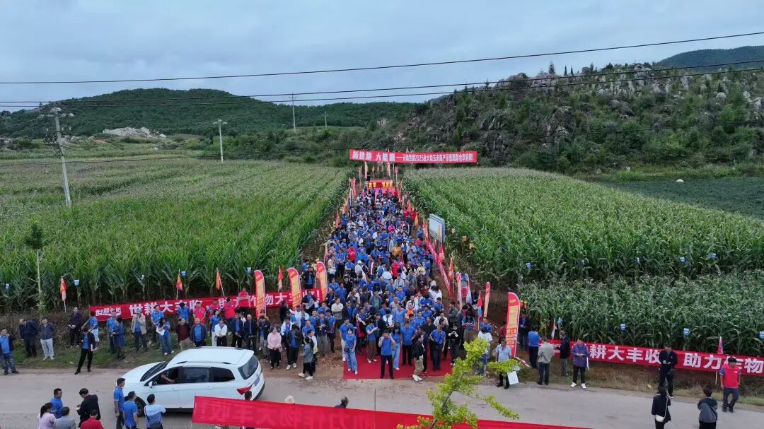 新世耕 大能量｜云南世耕2025 AI短视频赋能暨客户感恩峰会圆满成功