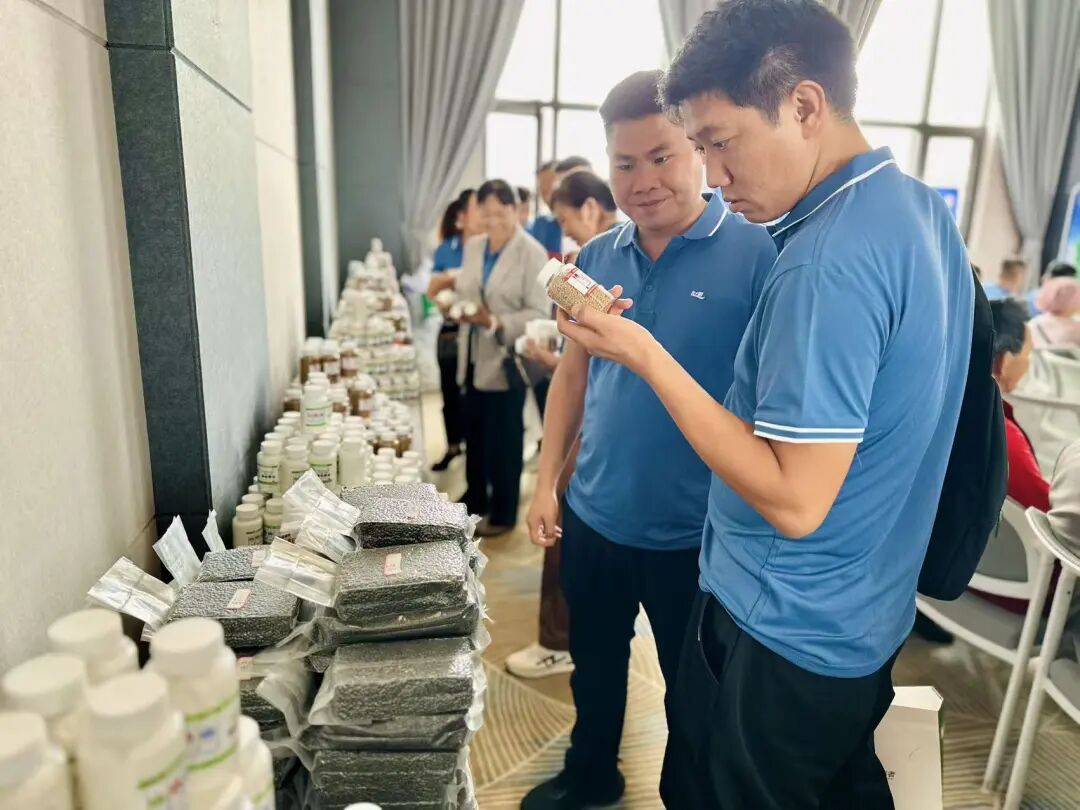 新世耕 大能量｜云南世耕2025 AI短视频赋能暨客户感恩峰会圆满成功