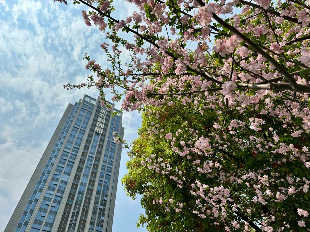 工贸协同 互惠互利 | 惠多利工贸协同发展会议圆满成功