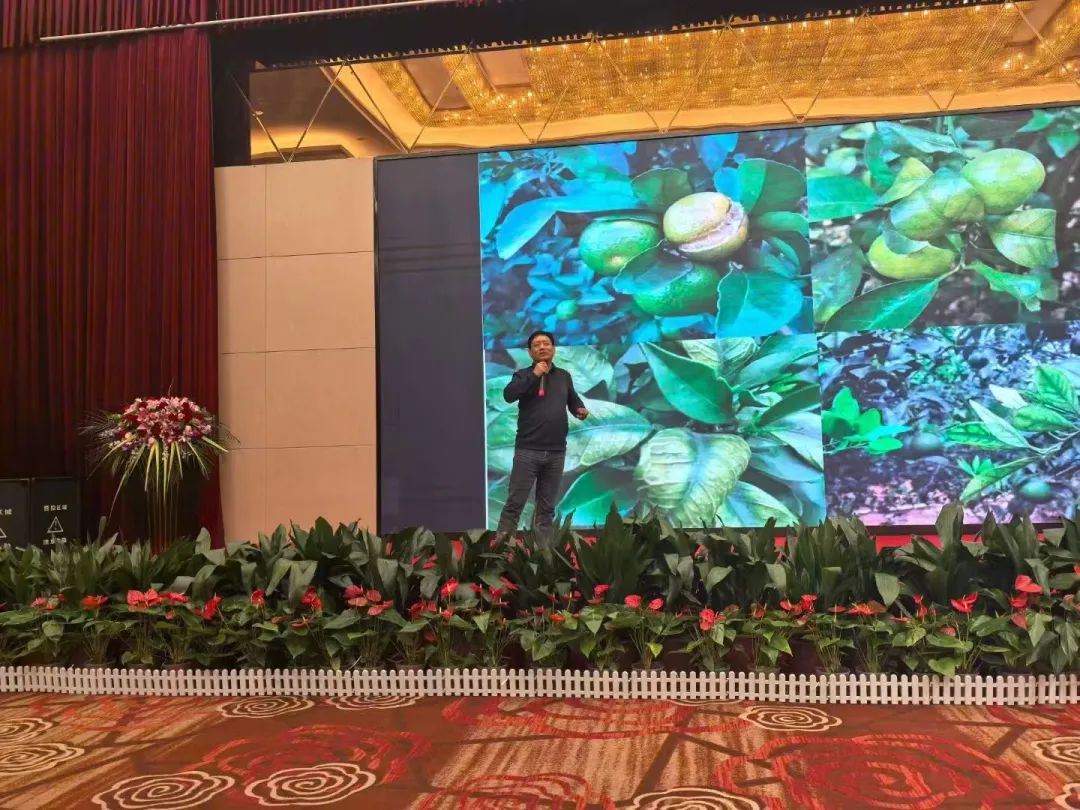 风云际会 强势突围 | 2024沃农肥业核心经销商年会圆满成功