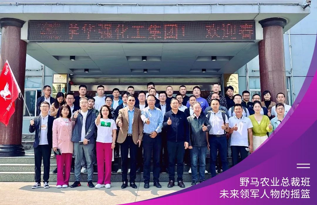 “五六”顺风 | 野马总裁班五六期毕业大课即将开课