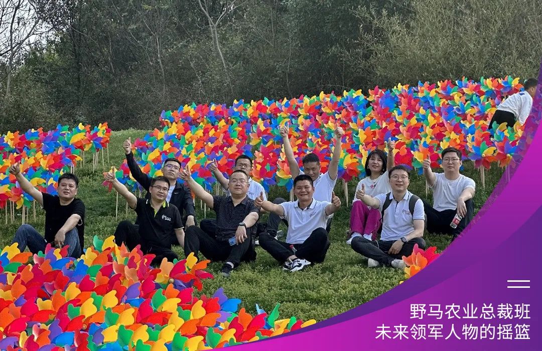 “五六”顺风 | 野马总裁班五六期毕业大课即将开课