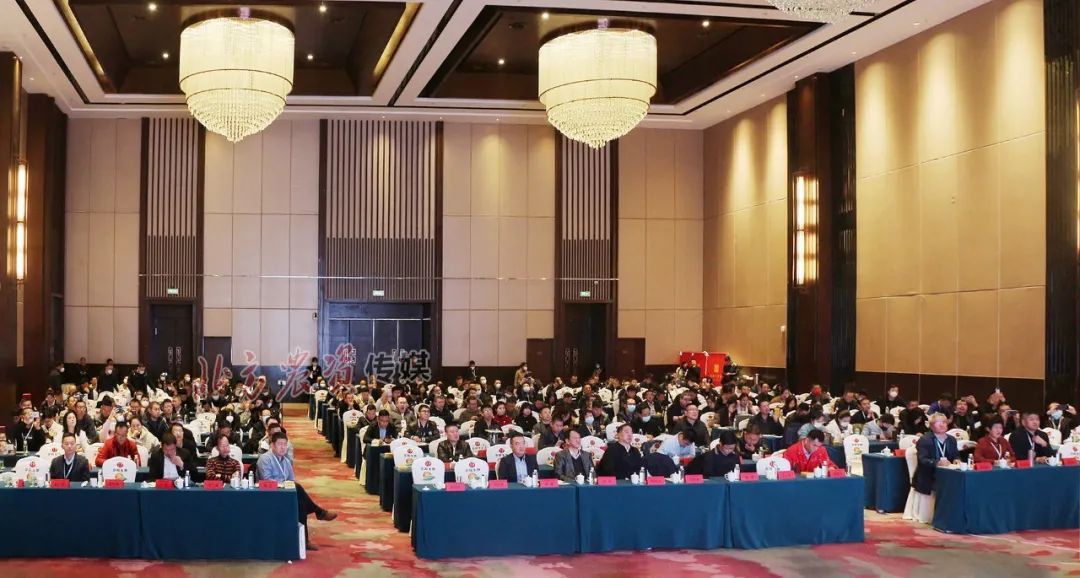 驭风先行丨春沣院长赵一沣出席SFA中国特肥创新发展大会