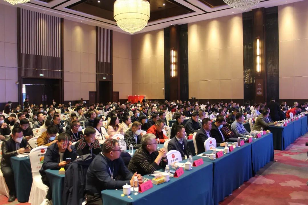 驭风先行丨春沣院长赵一沣出席SFA中国特肥创新发展大会