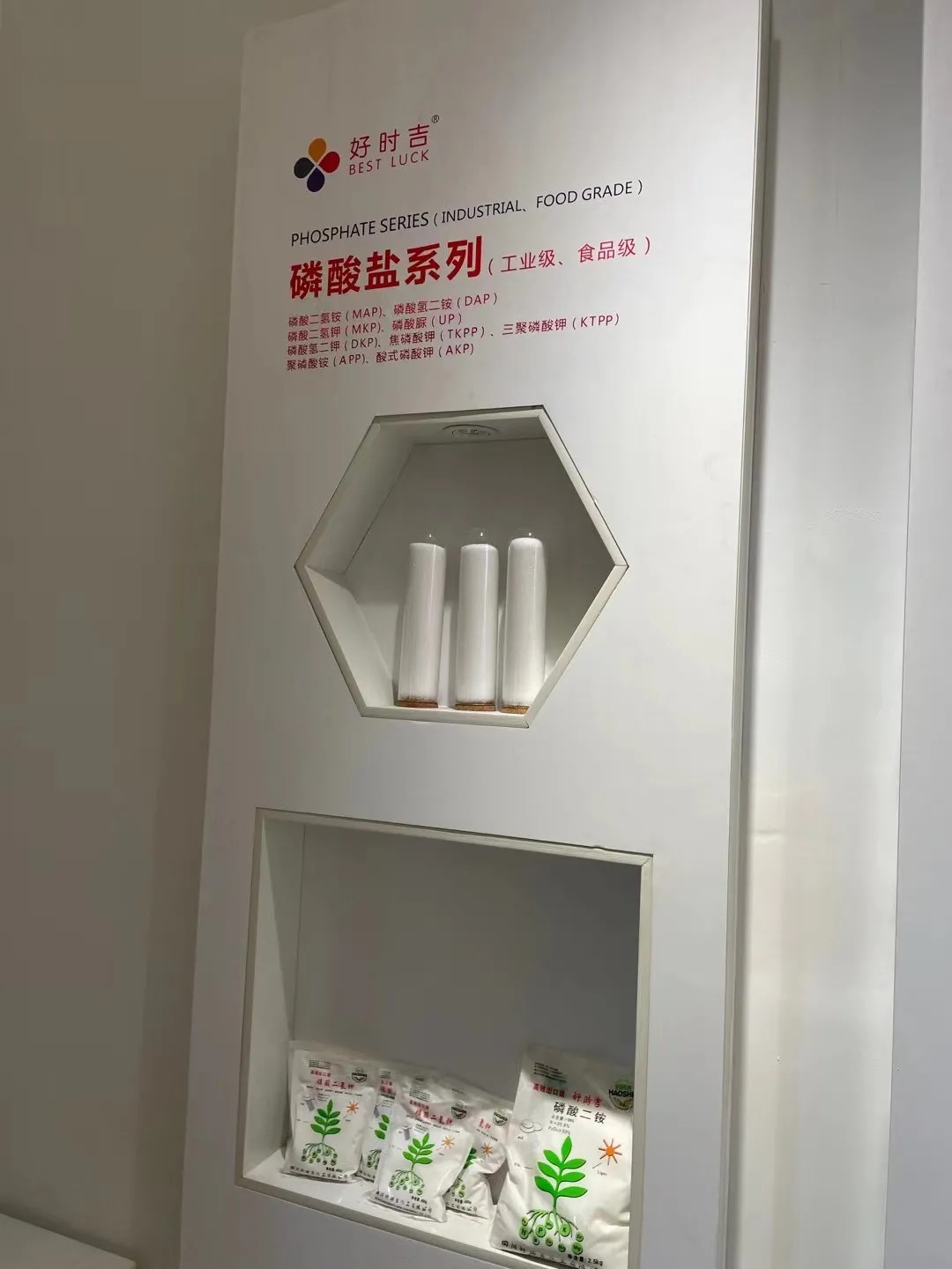 大变局，新机遇 | 春沣教育名誉院长赵一沣执教好时吉