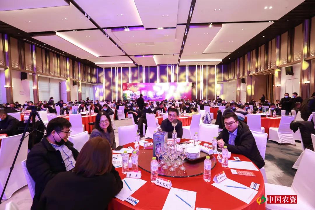 巅峰对话：春沣教育名誉院长赵一沣应邀出席全国百佳农资服务商论坛