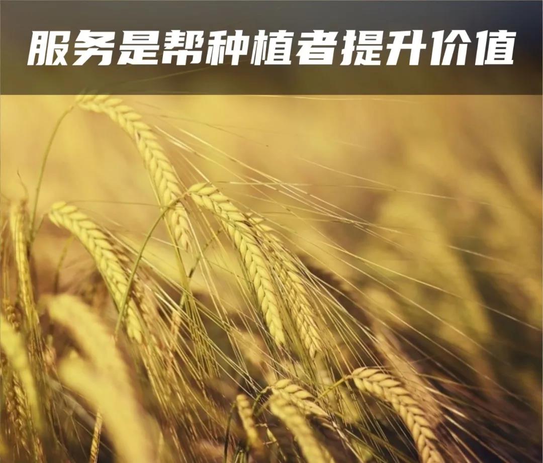 2020中国最具用户价值农技服务商评选:世代海洋独家冠名