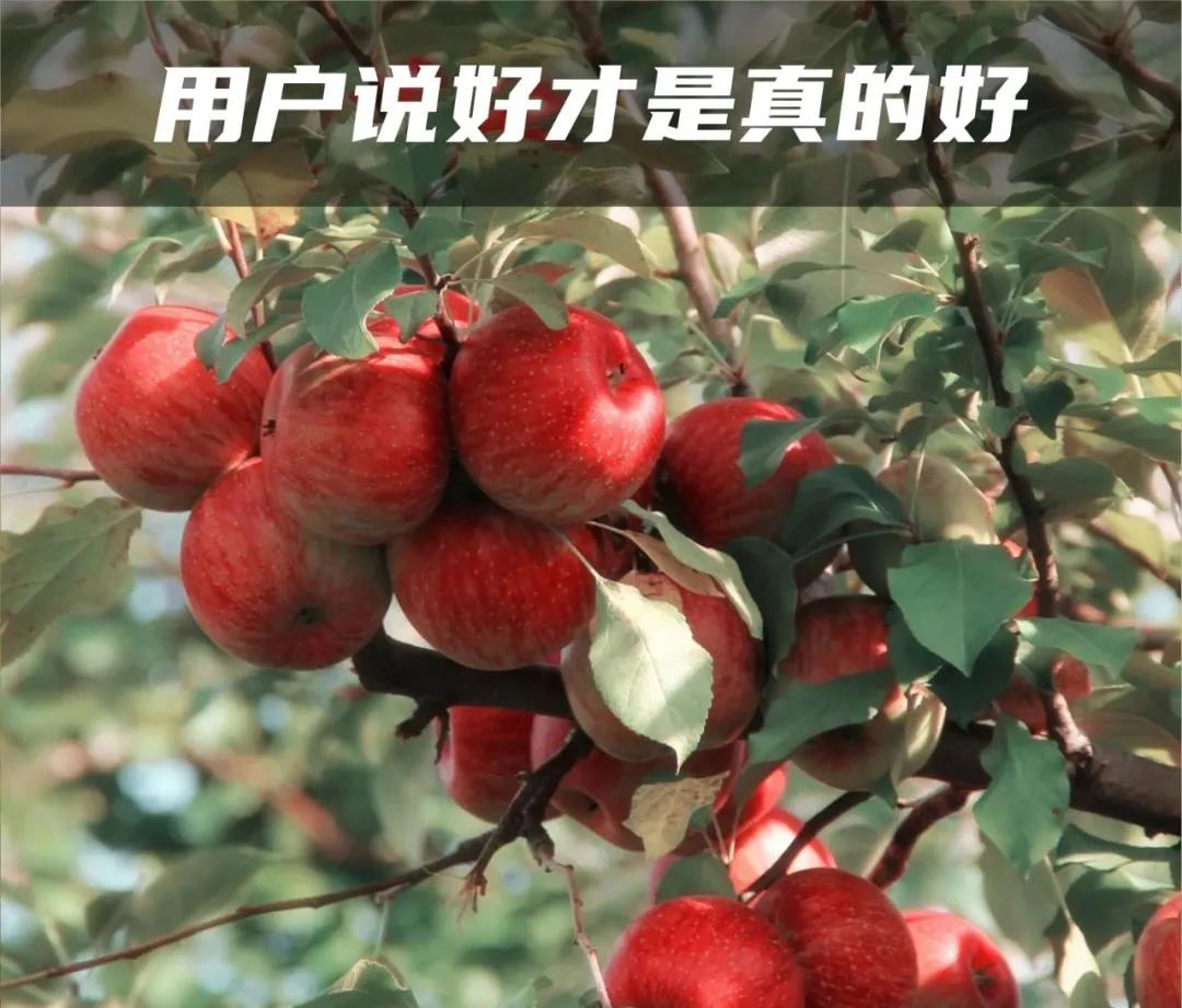 2020中国最具用户价值农技服务商评选:世代海洋独家冠名