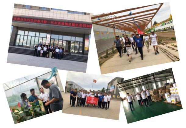 名企游学│春沣新一代农资领袖总裁班第一期走进烟台泓源