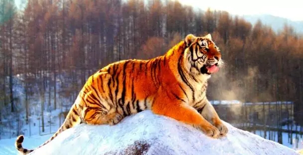 想把你的农资市场做成区域NO.1吗？