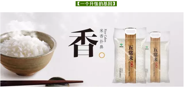 除了干货内容,千人大课上还该有点啥|众筹礼品