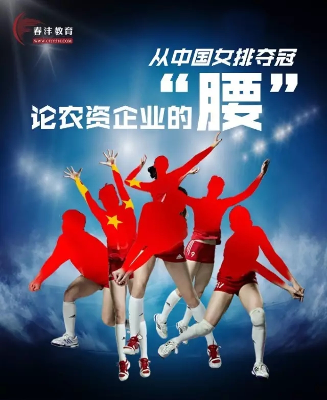 从中国女排夺冠论农资企业的腰