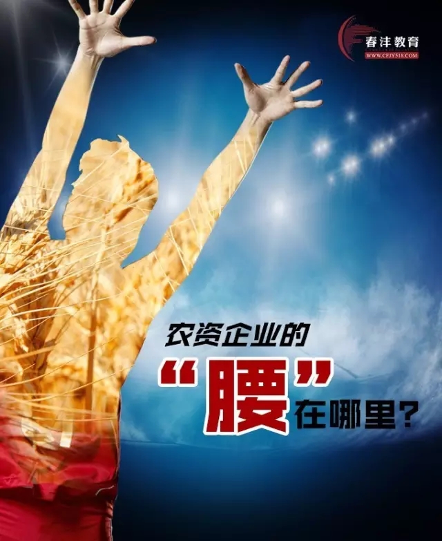 从中国女排夺冠论农资企业的腰