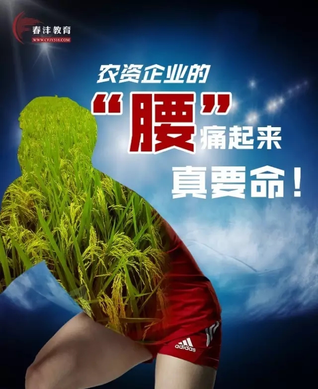 从中国女排夺冠论农资企业的腰