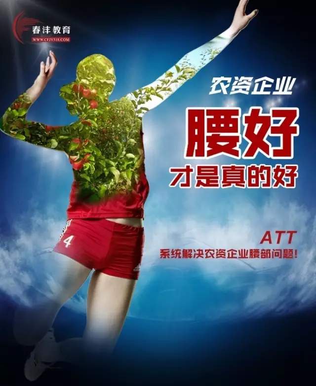 从中国女排夺冠论农资企业的腰