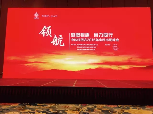 中盐红四方:感恩钜惠,合力同行