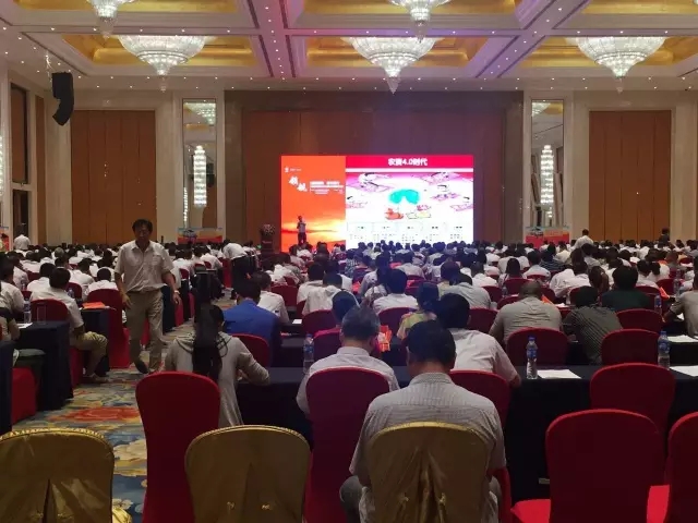 中盐红四方:感恩钜惠,合力同行