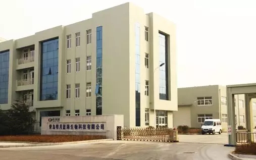 春沣教育助力青岛明月职业营销选手训练