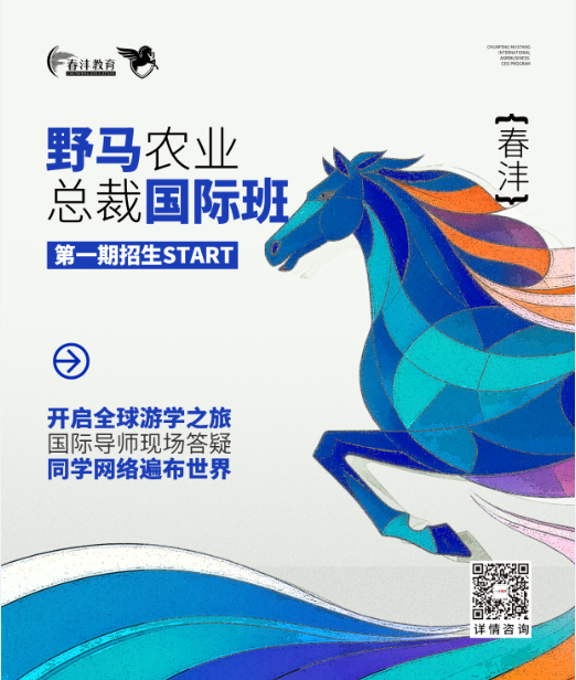 1780125893206251.png