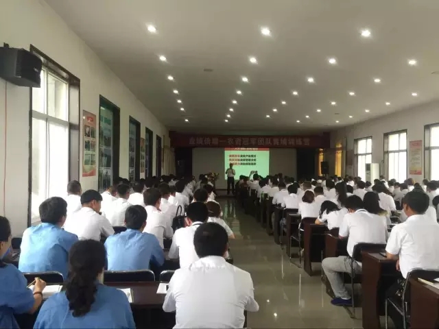 业绩倍增：春沣教育助力根力多打造冠军团队