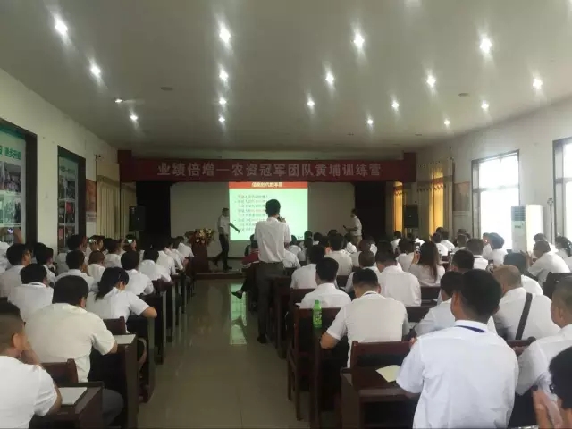 业绩倍增：春沣教育助力根力多打造冠军团队