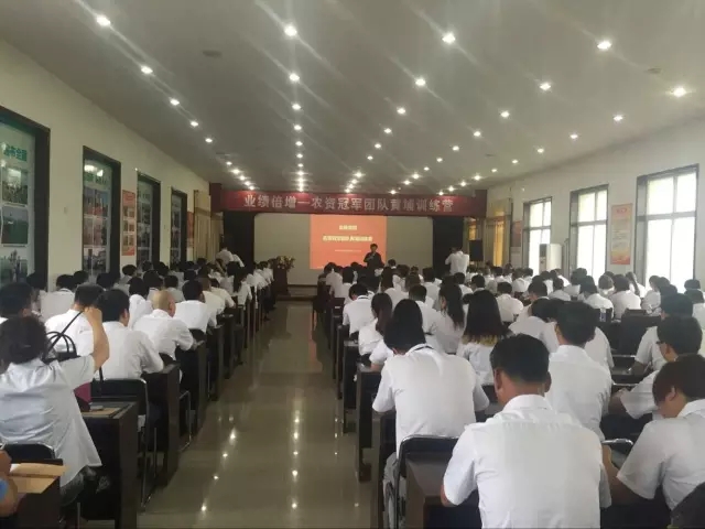 业绩倍增：春沣教育助力根力多打造冠军团队