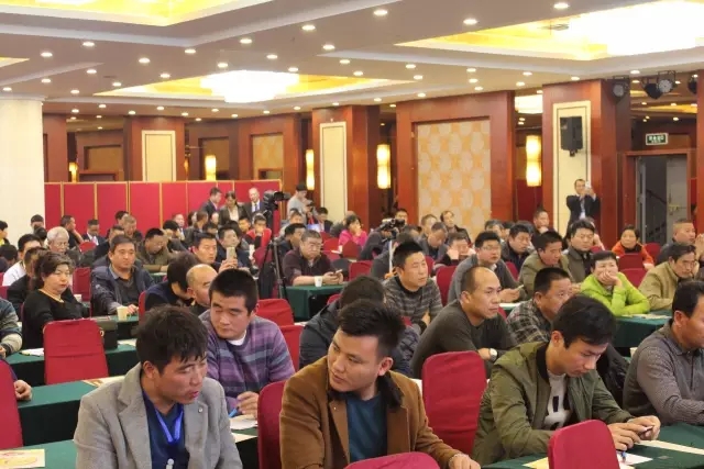 世纪阳光：回首往昔，展望未来