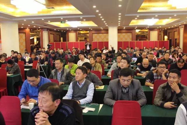 世纪阳光：回首往昔，展望未来