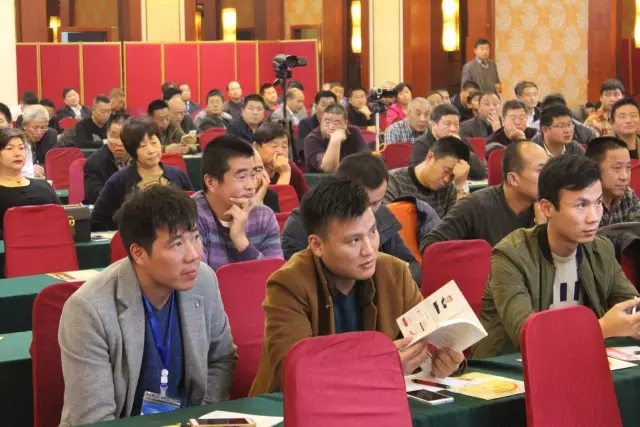 世纪阳光：回首往昔，展望未来