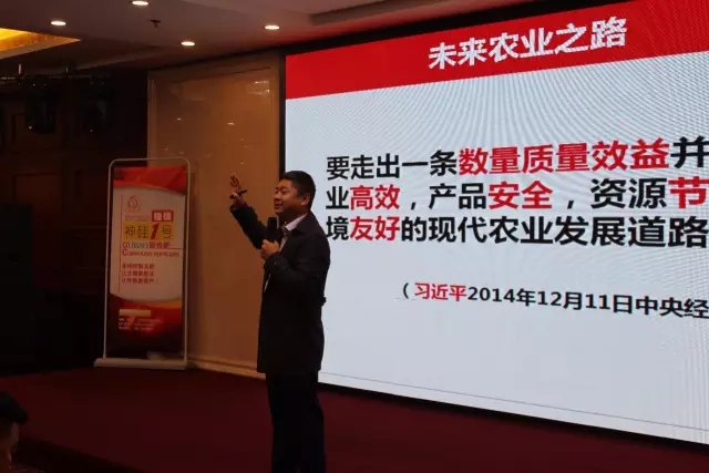 世纪阳光：回首往昔，展望未来