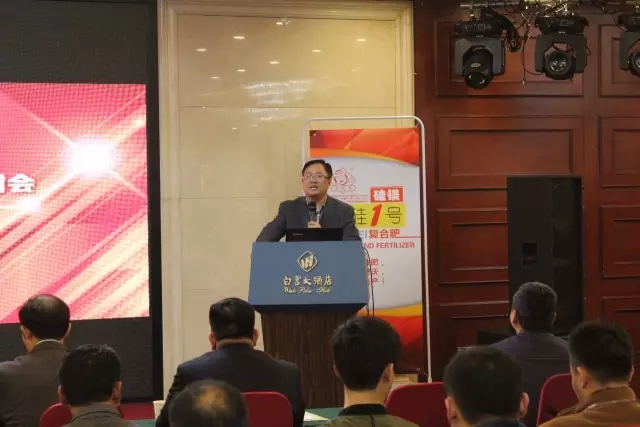 世纪阳光：回首往昔，展望未来