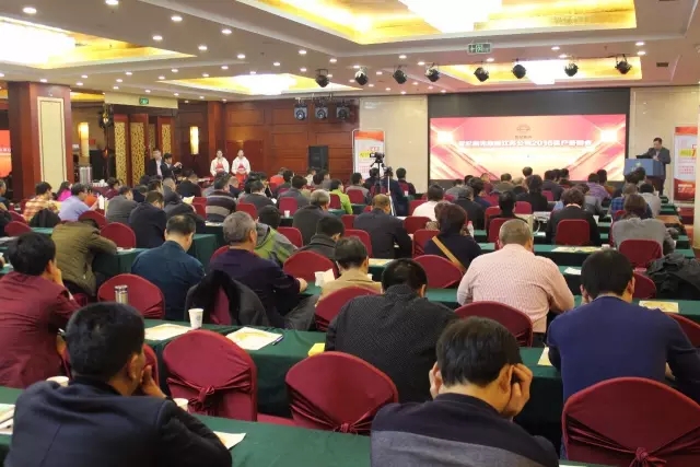 世纪阳光：回首往昔，展望未来