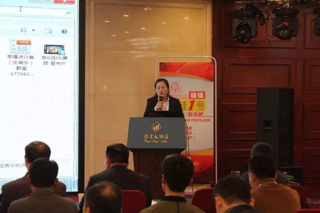 世纪阳光：回首往昔，展望未来