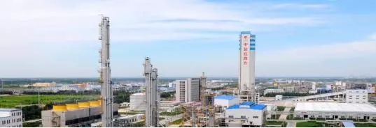 不培养年轻人,你的未来在哪里?