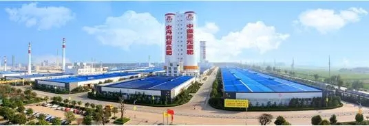 不培养年轻人,你的未来在哪里?