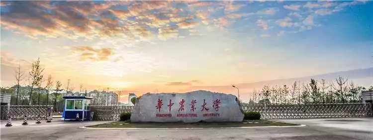 不培养年轻人，你的未来在哪里？