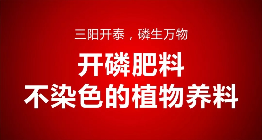 春沣AMT南京专场报名启动｜开磷请你来学习！