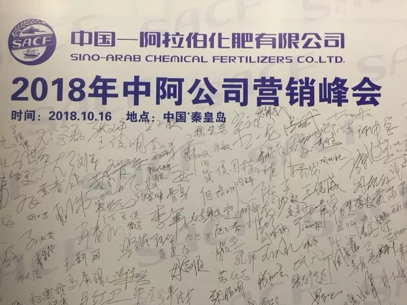 责任·使命│百年盛世总裁赵一沣出席中阿公司营销峰会