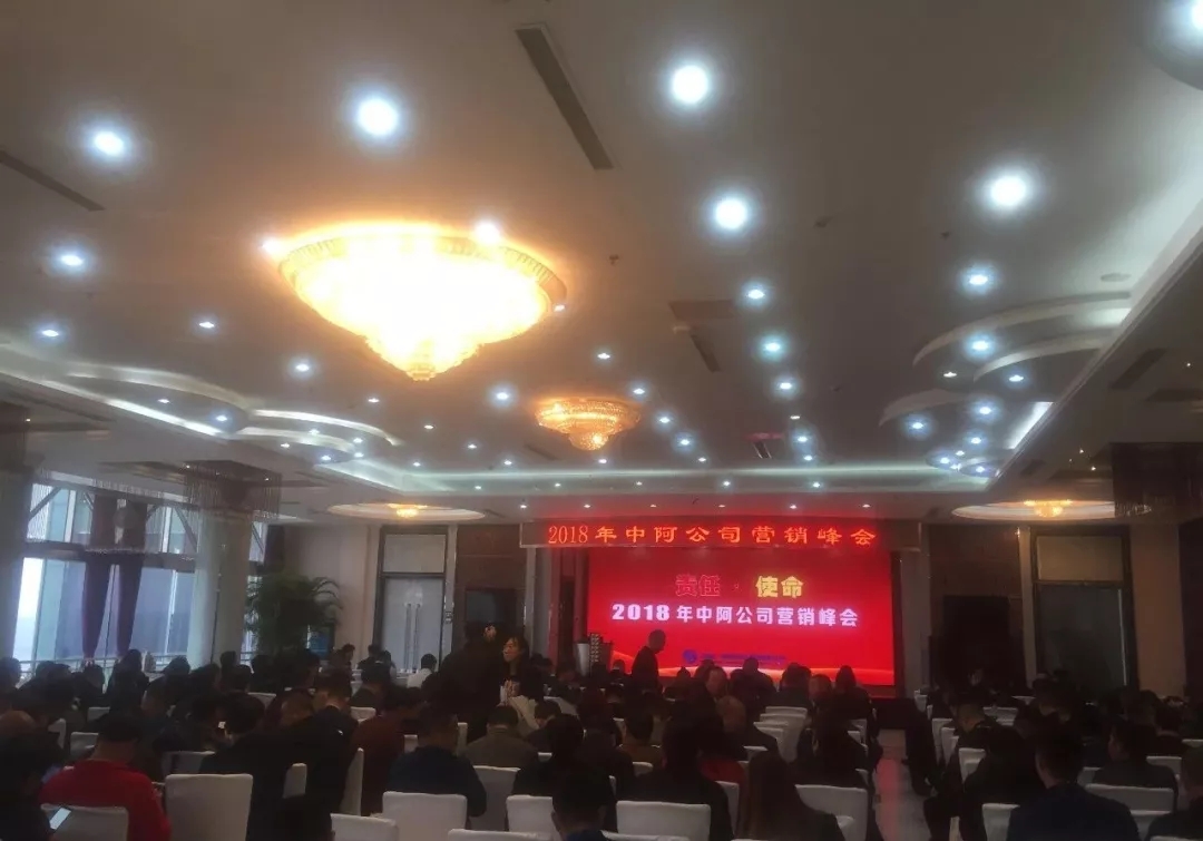 责任·使命│百年盛世总裁赵一沣出席中阿公司营销峰会