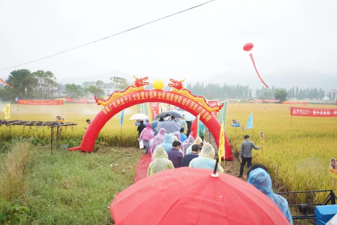 新形势，新营销│春沣教育助力首届广东种业千人大会暨乡镇经销商培训会