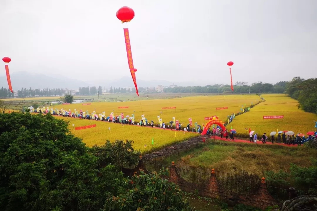 新形势，新营销│春沣教育助力首届广东种业千人大会暨乡镇经销商培训会