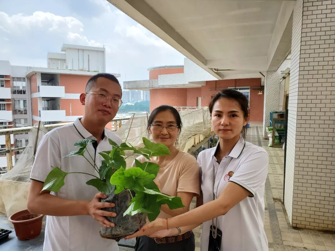 青春的模样│春沣总裁班2019届第一期游学华南农大