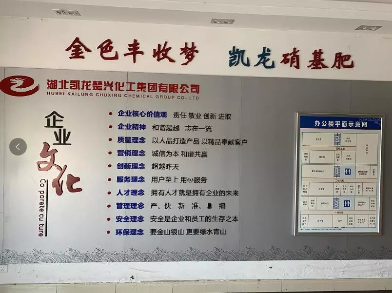 促成长 创辉煌│春沣教育走进凯龙楚兴