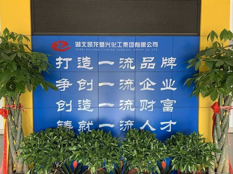 促成长 创辉煌│春沣教育走进凯龙楚兴