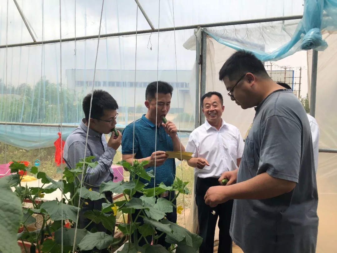 幸福是奋斗出来的│春沣新一代农资领袖总裁班第一期游学根力多股份