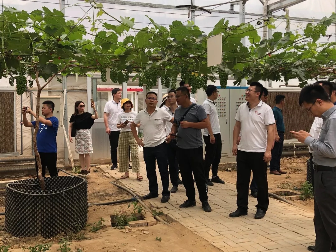 幸福是奋斗出来的│春沣新一代农资领袖总裁班第一期游学根力多股份