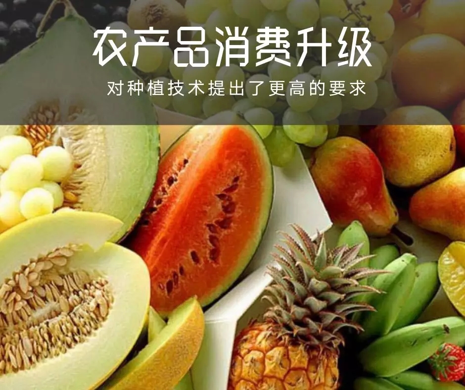 中国首届百佳农技服务专家评选:西洋独家冠名