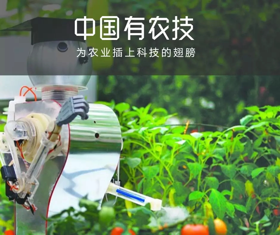 中国首届百佳农技服务专家评选:西洋独家冠名