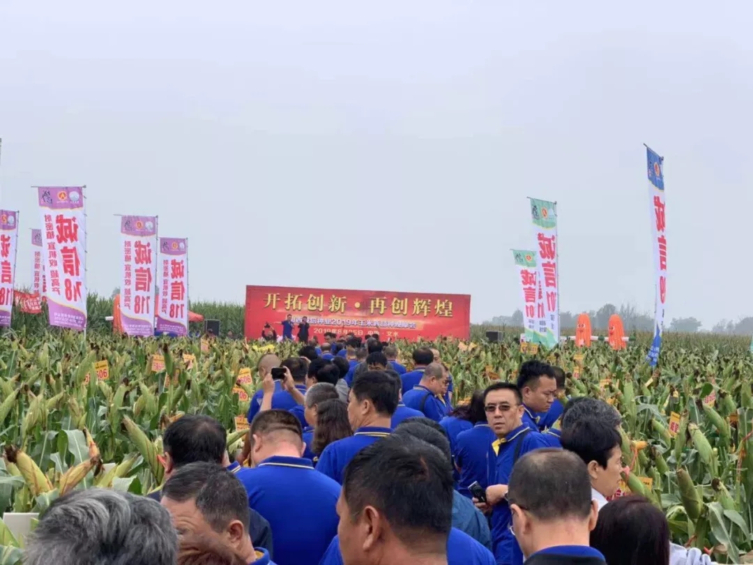 诚信向前|百年盛世总裁赵一沣出席诚信种业全国经销商营销峰会